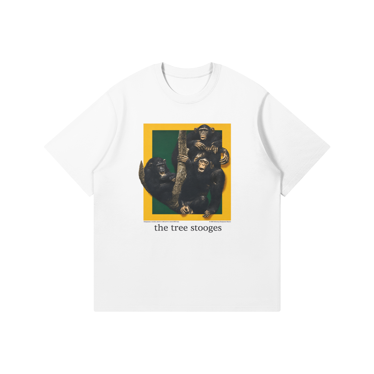 0-YEG-Front Side