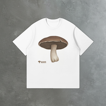 0-YEG-Front Side-With BG